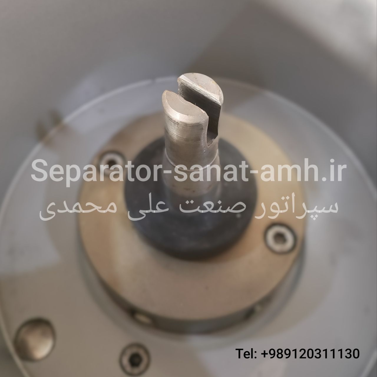 خامه گیر یک تن عباسی